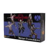 STRIGOI- FOOTSOLDIERS