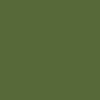 PG146 – Extra Opaque Vert