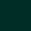 PG147 – Extra Opaque Vert Noir